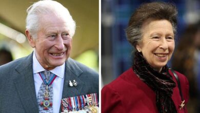 King Charles Praises Princess Anne As Secret Meeting Reveals Bold Royal Plan To Tackle Crisis