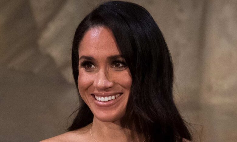 Meghan Markle Break Silence and Throws Fans a Curveball After Shocking Netflix Fallout