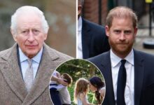 The One Simple Message That Could Bring Prince Harry Back to Sandringham Ad Insider Reveal the Secret