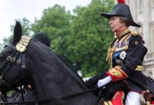 Princess Anne's Triumph Ignites Hope for the Troubled Royal Family