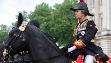 Princess Anne's Triumph Ignites Hope for the Troubled Royal Family