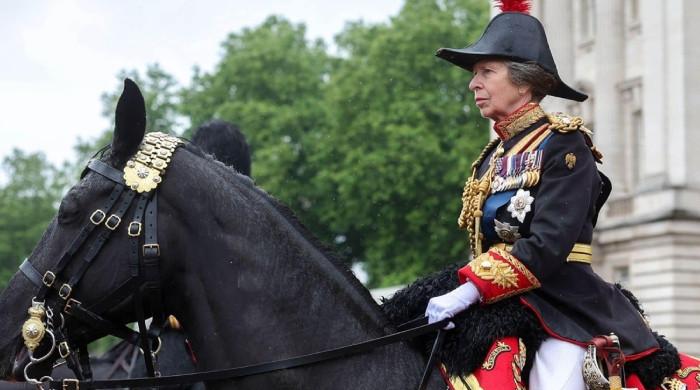 Princess Anne's Triumph Ignites Hope for the Troubled Royal Family