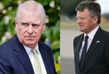 Andrew Reveals Shocking Secrets to Senior Palace Official in Major New Meeting