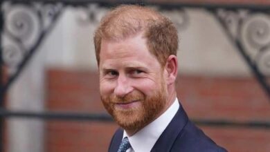 Prince Harry's Secret Plan Shocks Fans as Royals Face Overwhelming Turmoil