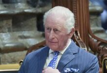 Inside King Charles’s Secret Meetings with Prince William Amidst Growing Scrutiny