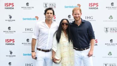 Prince Harry Sparks Royal Rumble as Charity Calls for Protection