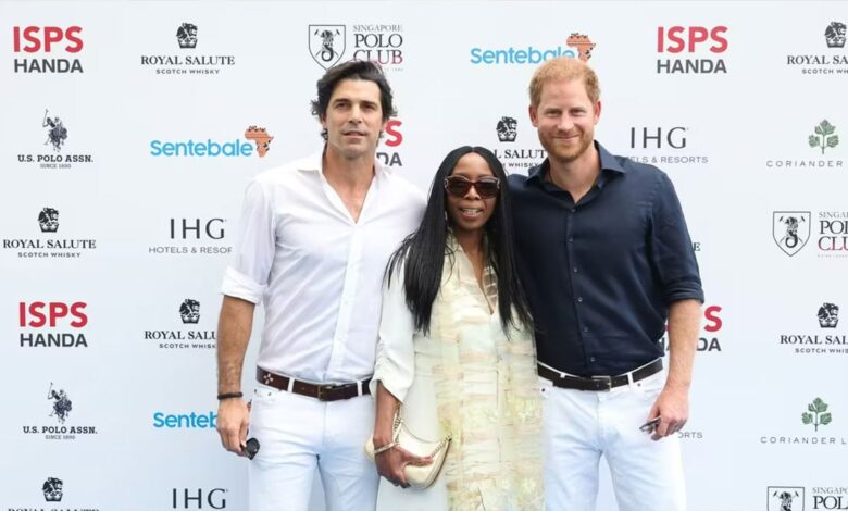 Prince Harry Sparks Royal Rumble as Charity Calls for Protection