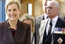 Andrew Sparks Split in the Royal Family As Duchess Sophie Steps In to Support Him
