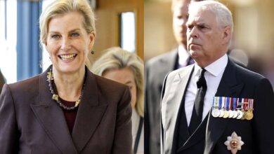 Andrew Sparks Split in the Royal Family As Duchess Sophie Steps In to Support Him