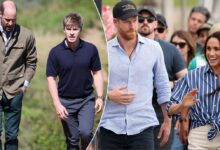 Prince William’s Close Friend Robert Irwin Turns Down Prince Harry and Meghan Markle’s Offer
