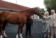 How King Charles and Queen Camilla Are Racing Into a Bold New Era of Horse Racing