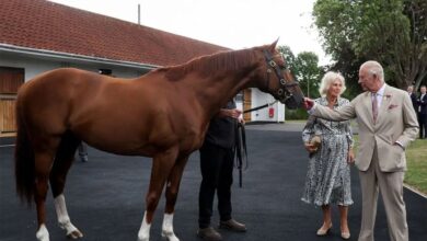 How King Charles and Queen Camilla Are Racing Into a Bold New Era of Horse Racing
