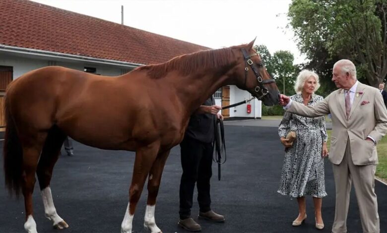 How King Charles and Queen Camilla Are Racing Into a Bold New Era of Horse Racing