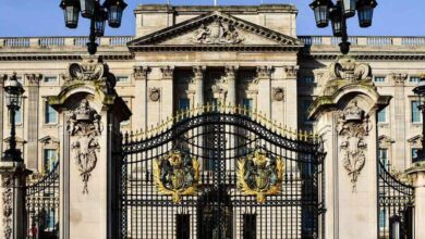 King Charles Welcomes Irish President at Buckingham Palace