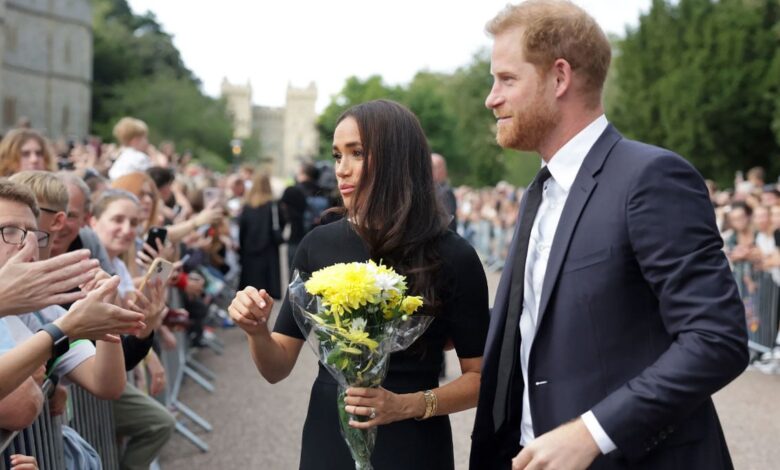 Meghan Markle’s Heartwarming Perfect Gift Video Ignites British Fans