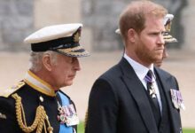 Prince Harry and Meghan Make Surprise Move to Support Royal Family