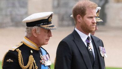 Prince Harry and Meghan Make Surprise Move to Support Royal Family