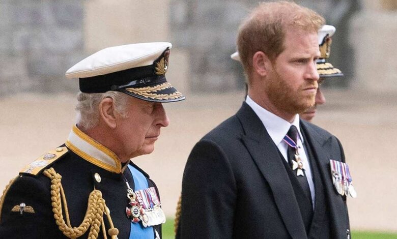 Prince Harry and Meghan Make Surprise Move to Support Royal Family