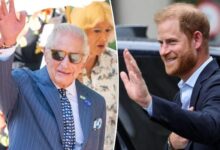 King Charles Reportedly Extends Fresh Olive Branch to Prince Harry Ahead of UK Return