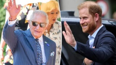 King Charles Reportedly Extends Fresh Olive Branch to Prince Harry Ahead of UK Return