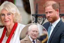 Queen Camilla Reportedly Draws Firm Boundary as King Charles Reaches Out to Prince Harry