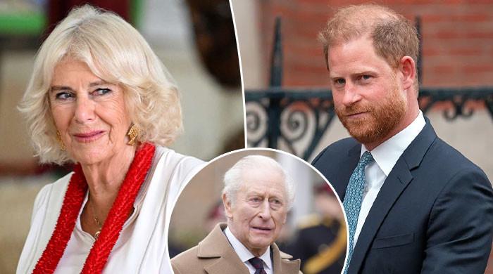 Queen Camilla Reportedly Draws Firm Boundary as King Charles Reaches Out to Prince Harry