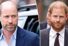 Prince William Makes Key Move Ahead of Prince Harry’s Return to the UK